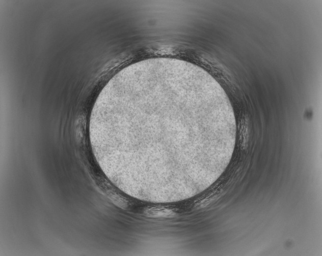 X0000116850747201002021045