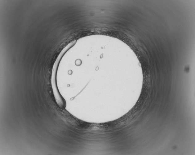 X0000116850750201002021045