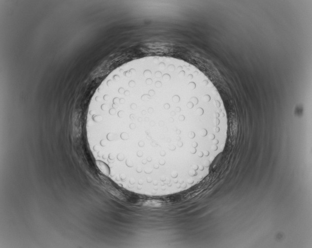 X0000116850751201002021045