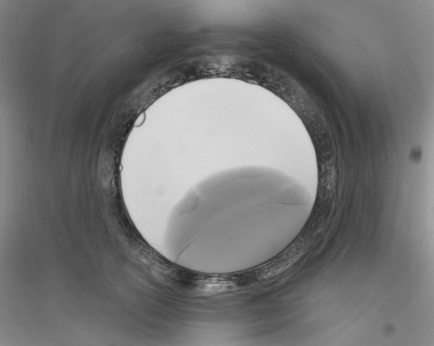 X0000116850754201002021045