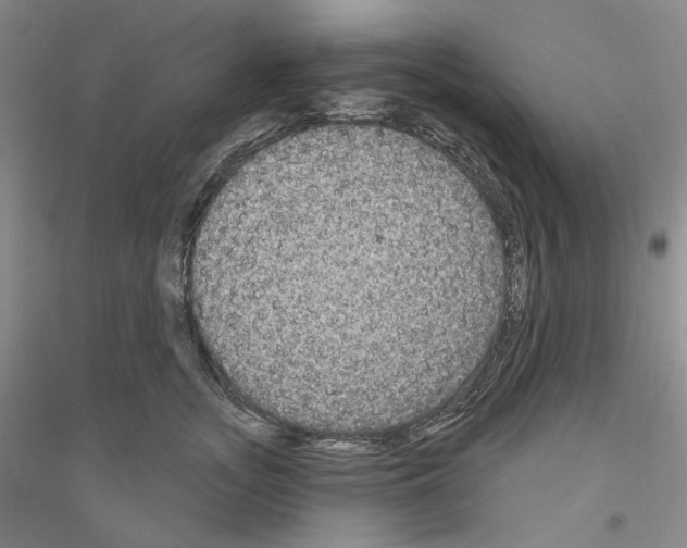 X0000116850755201002021045