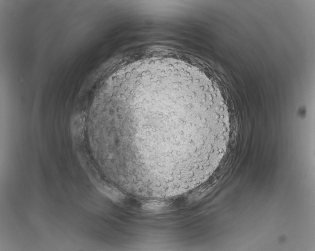 X0000116850759201002021045