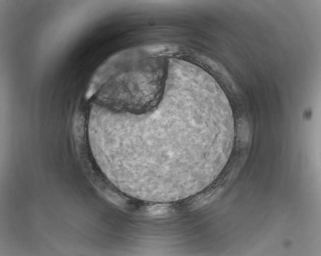 X0000116850761201002021045