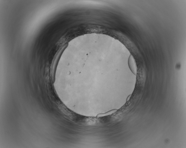 X0000116850762201002021045