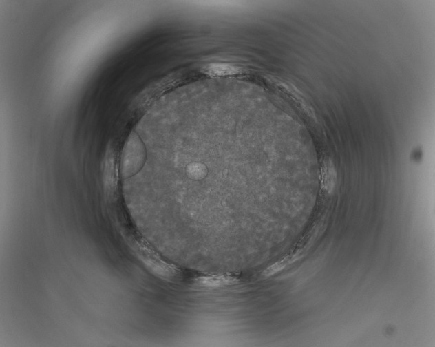 X0000116850763201002021045