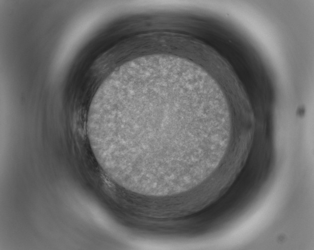 X0000116850766201002021045