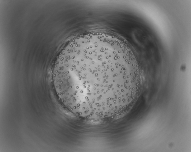 X0000116850767201002021045