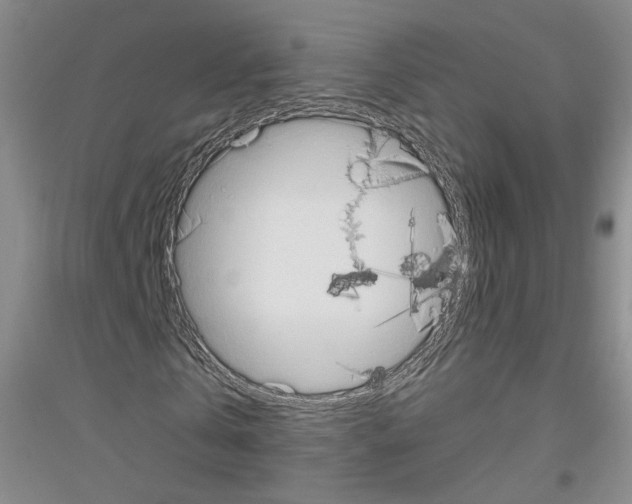 X0000116850769201002021044