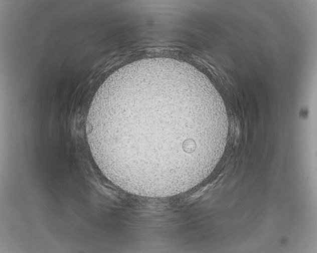 X0000116850770201002021044