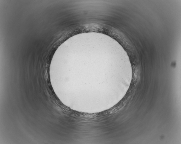 X0000116850771201002021044