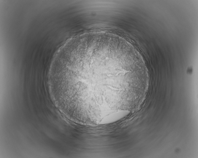 X0000116850772201002021044