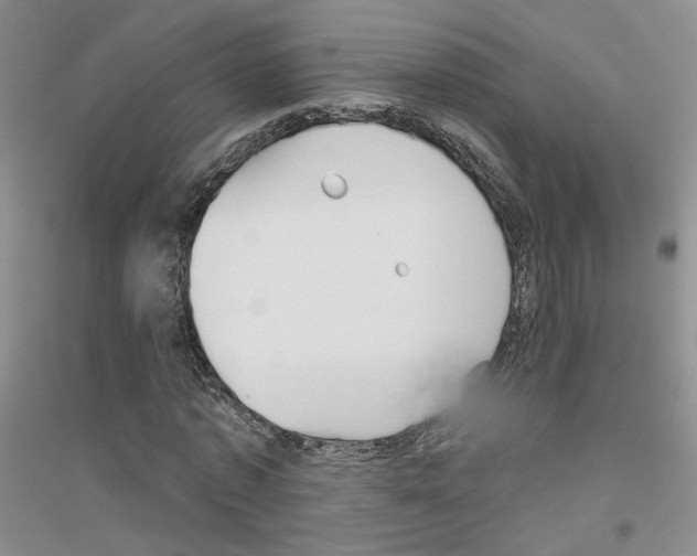 X0000116850773201002021044