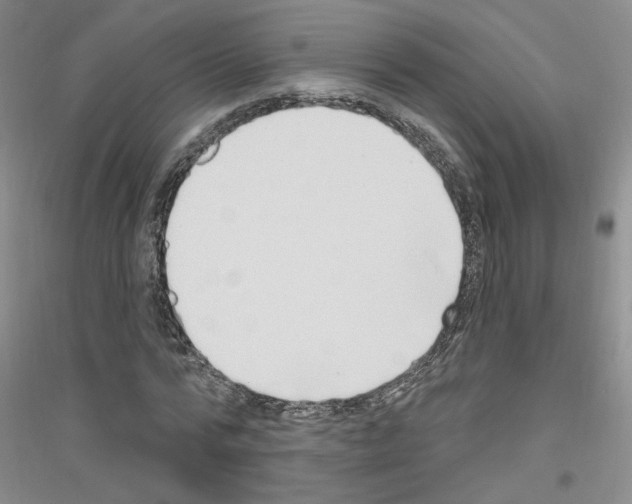 X0000116850776201002021044
