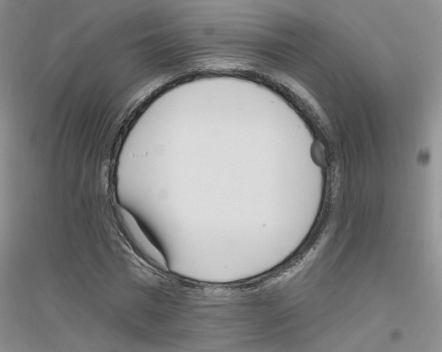X0000116850777201002021044