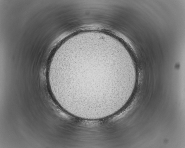 X0000116850778201002021044