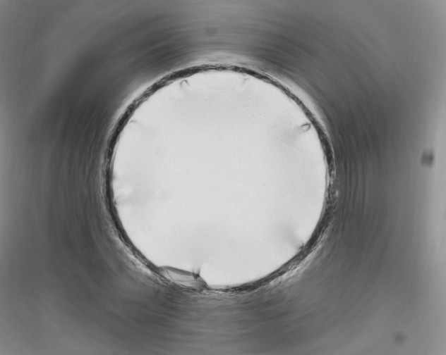 X0000116850783201002021044