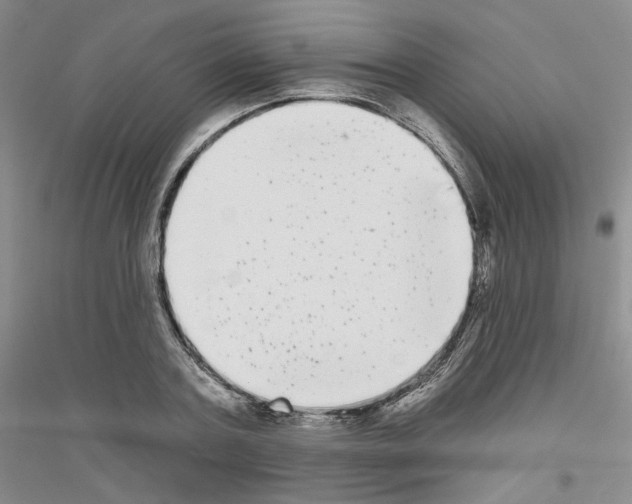 X0000116850787201002021044