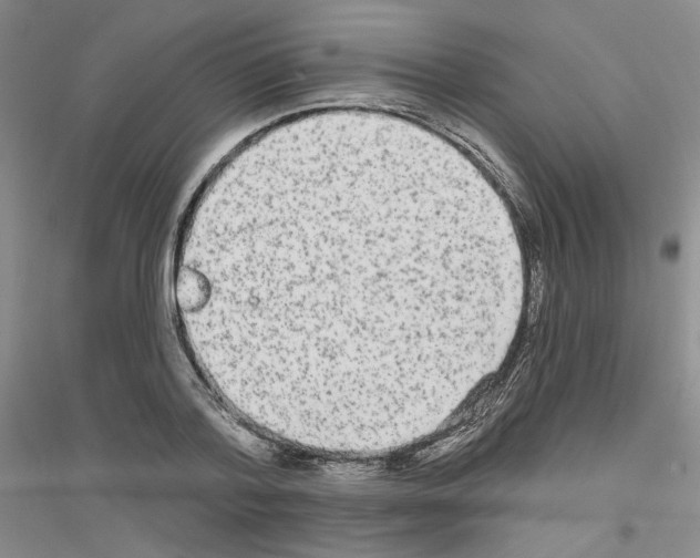 X0000116850788201002021044