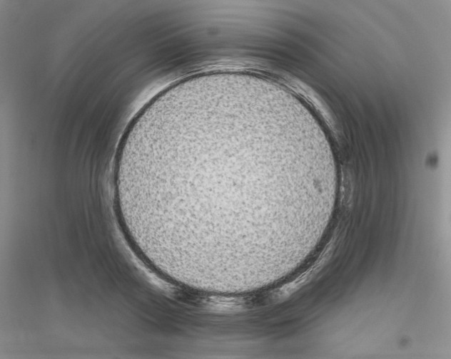 X0000116850794201002021044