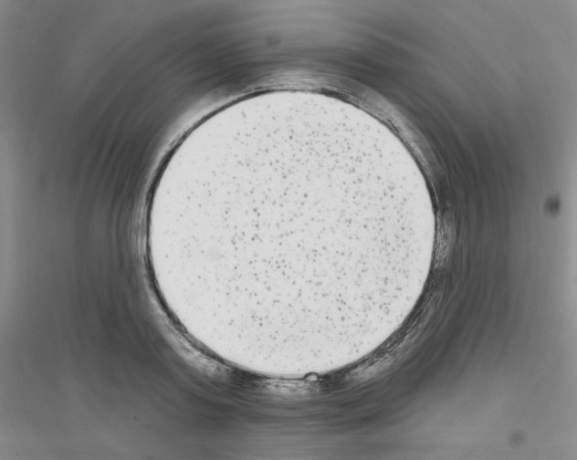 X0000116850795201002021044