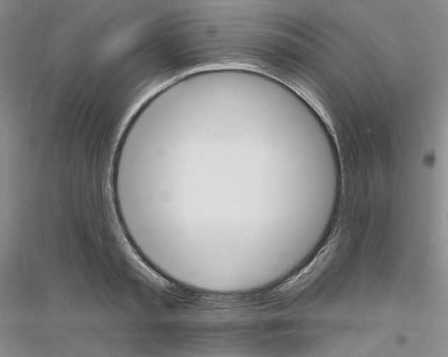 X0000116850797201002021044