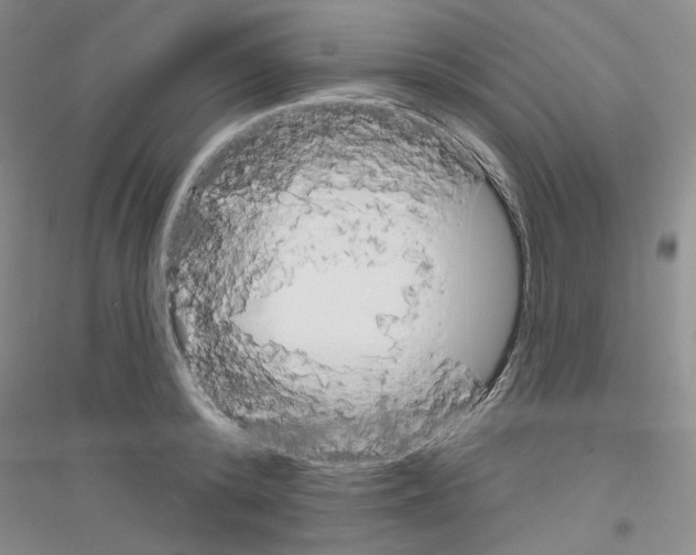 X0000116850800201002021044