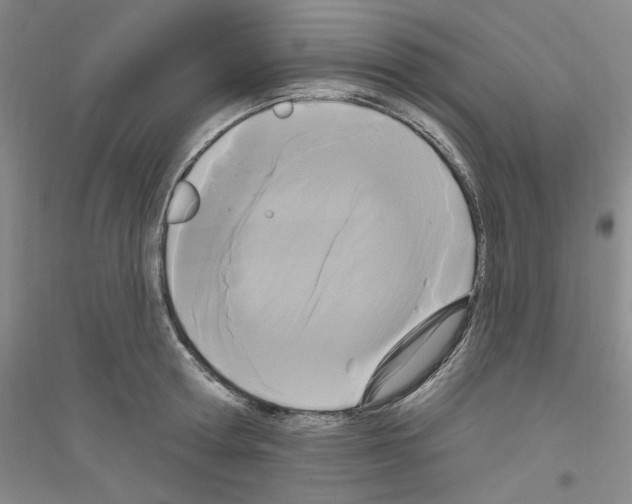 X0000116850802201002021044