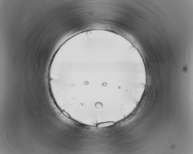 X0000116850803201002021044