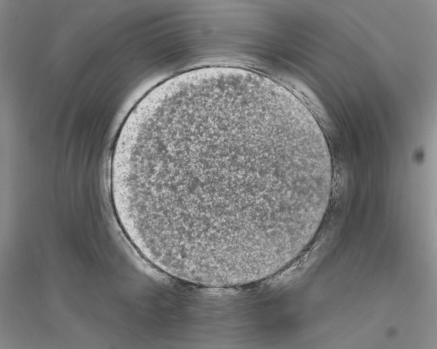 X0000116850804201002021044