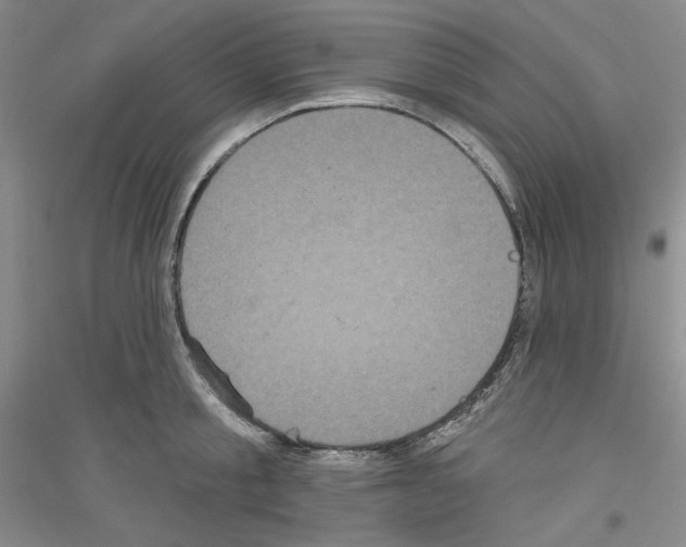 X0000116850805201002021044