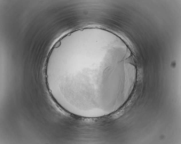 X0000116850806201002021044
