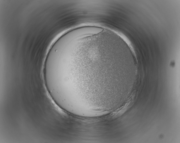 X0000116850807201002021044