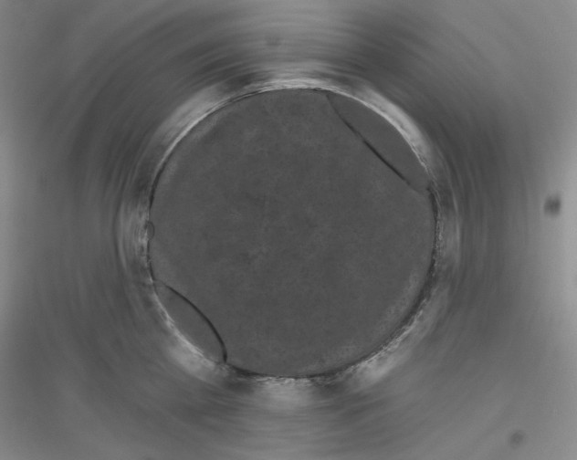 X0000116850809201002021044
