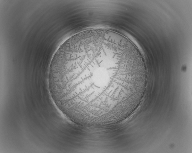 X0000116850810201002021044