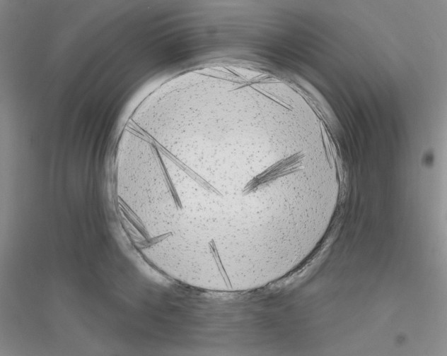 X0000116850812201002021044