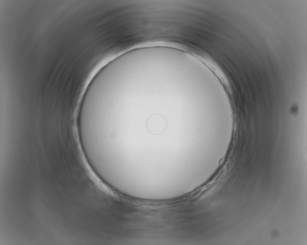 X0000116850813201002021044