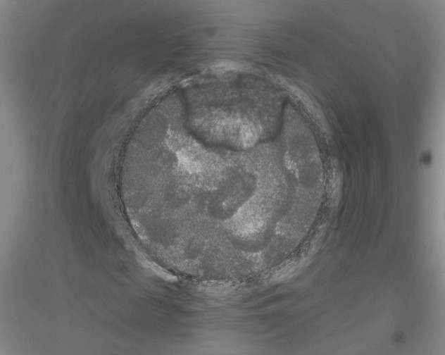 X0000116850817201002021043