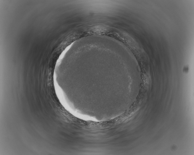 X0000116850818201002021043