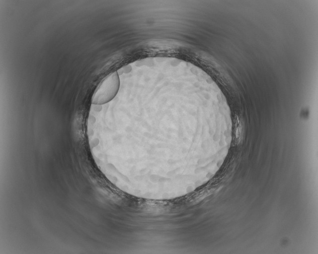 X0000116850819201002021043