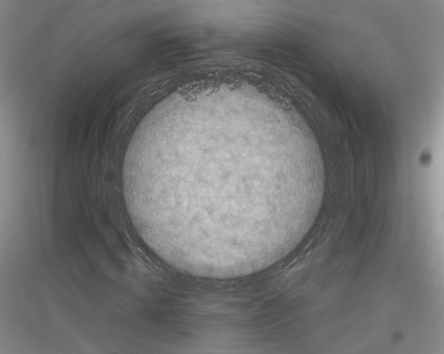 X0000116850820201002021043