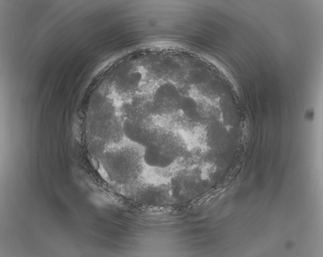 X0000116850823201002021043