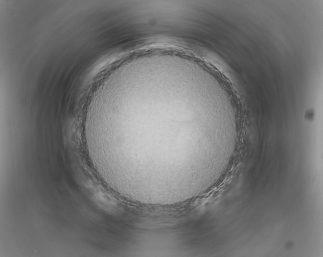 X0000116850824201002021043