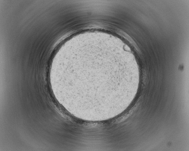X0000116850826201002021043