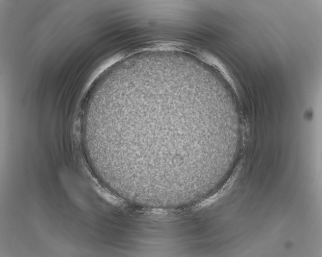 X0000116850827201002021043