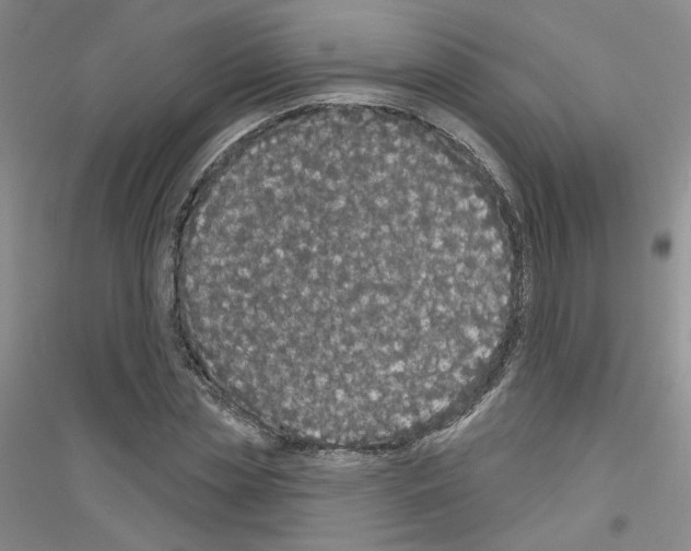 X0000116850829201002021043