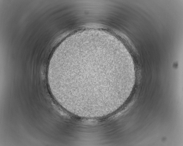 X0000116850833201002021043