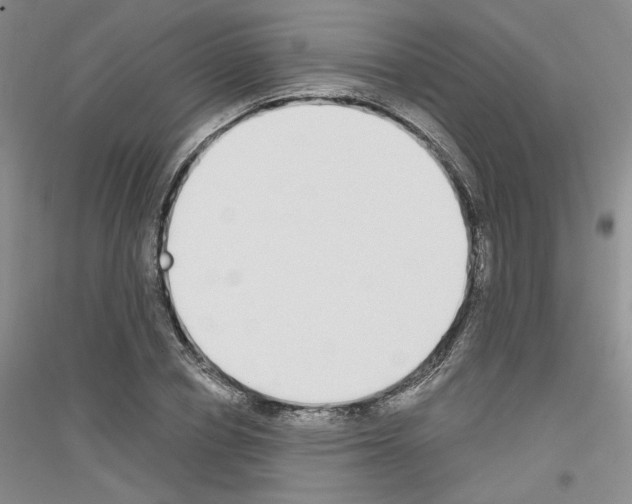 X0000116850834201002021043