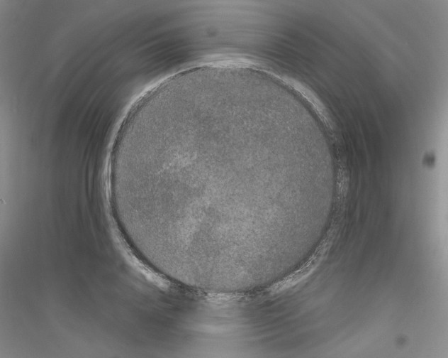 X0000116850840201002021043