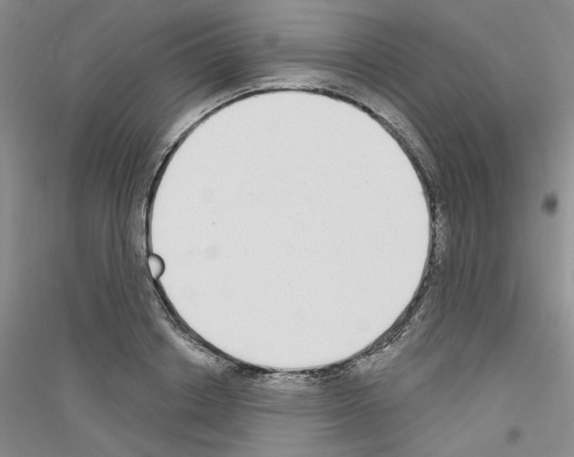 X0000116850842201002021043