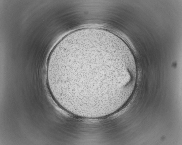 X0000116850844201002021044